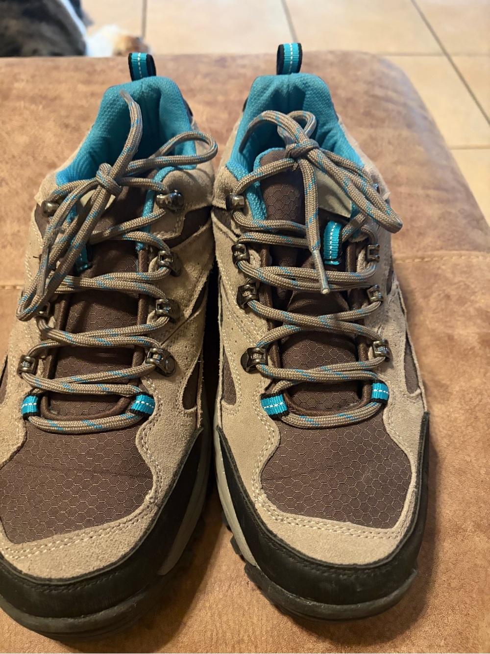 Trail Sneakers in Brown and Teal - Casual Outdoor Shoes
